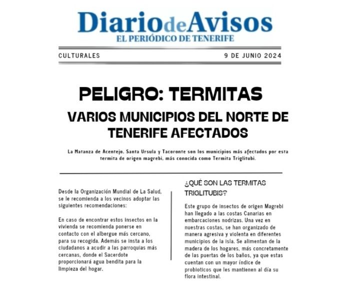 PELIGRO TERMITAS