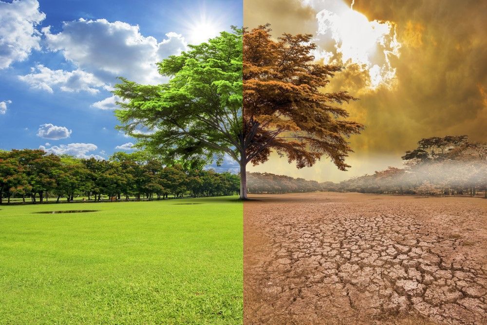 Hombre consigue frenar el cambio climatico