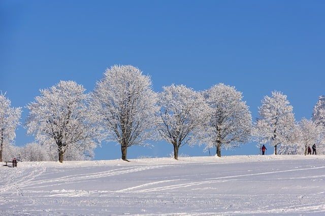 Las vacaciones de invierno se extienden debido a las bajas temperaturas