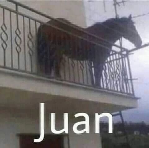 Se busca Juan