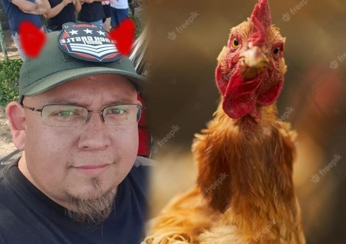 Gallina casi atropellada se querella contra el productor German Suarez