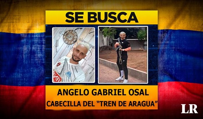 SE BUSCA LIDER COLECTIVO DE ACARIGUA